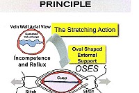 OSES prof Sante Camilli