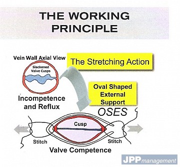OSES prof Sante Camilli