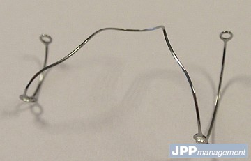 veinous streching Prof Sante Camilli