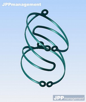 3D implant veineux nitinol Prof Sante Camilli